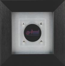 Single Puck Presentation Display Case