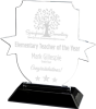 Snap-in Acrylic Insignia Award