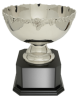 Paisley bowl